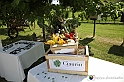 VBS_6768 - 4° Trattorata d'Epoca nelle Colline Alfieri - Tenuta Carlin de Paolo